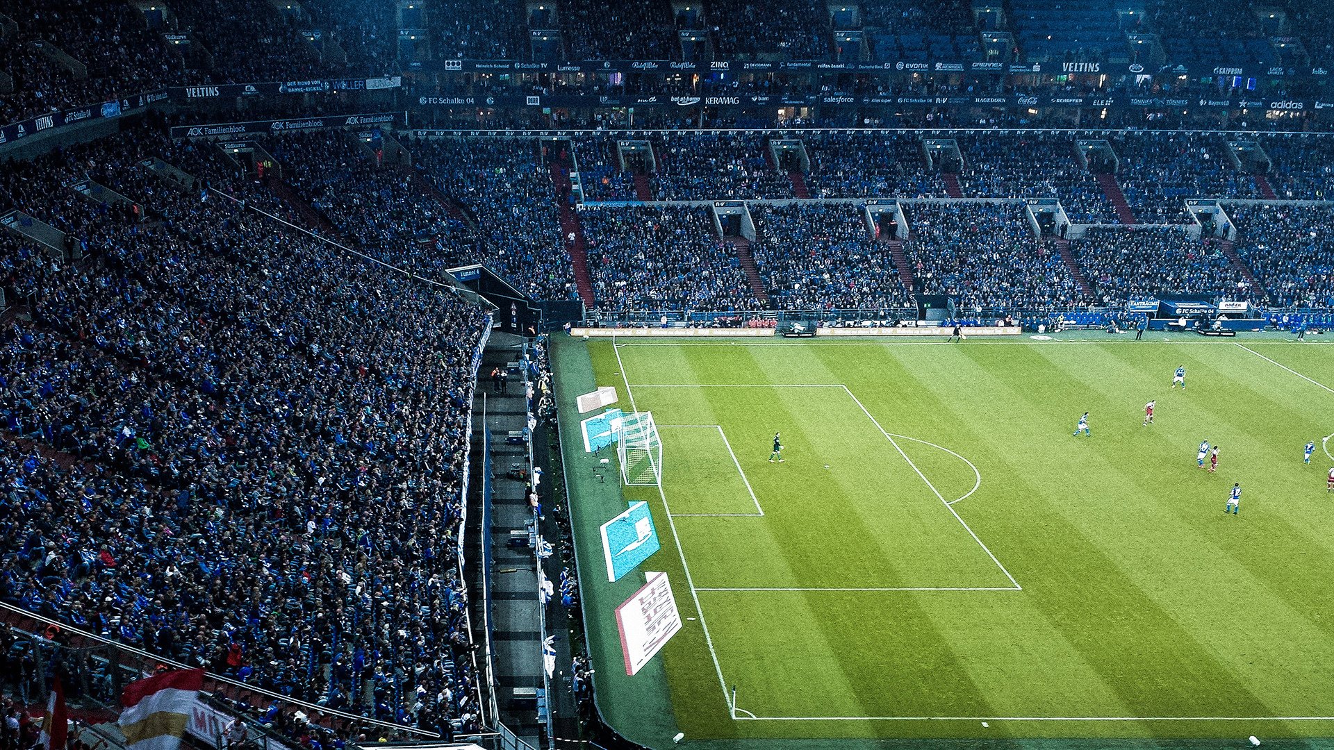 森林狼球队主场表现日益出色,森林狼足球队