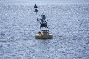 Jiu You-中方蝶泳入水角度更锐利？图解数据分析，中国蝶泳厉害吗