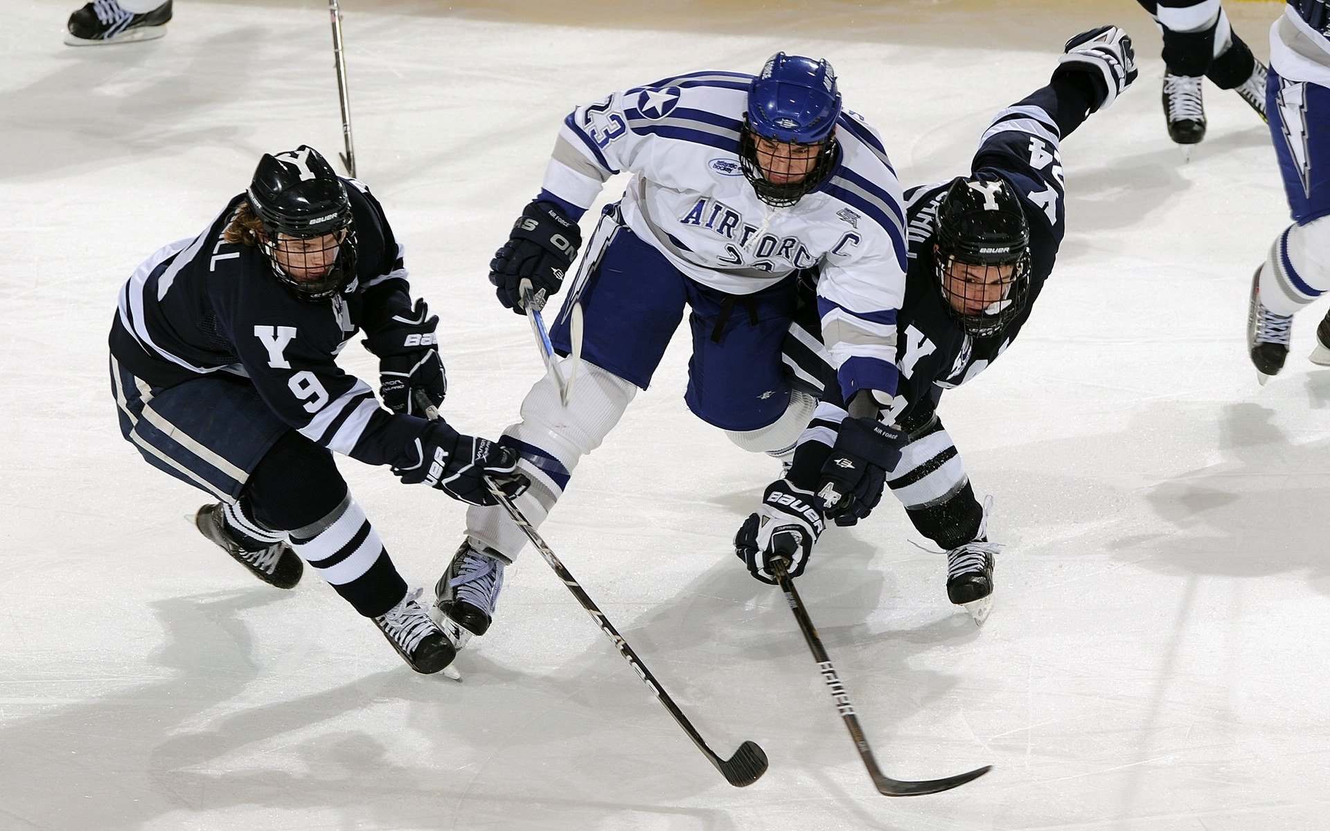 _极地探险骑行：在冰雪世界中追逐自由_，极地探险介绍